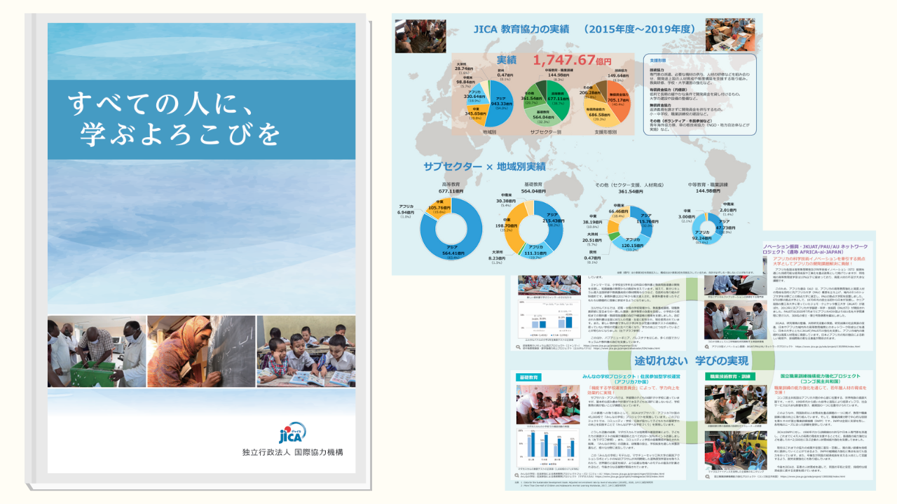 Domestic Contracted Work to Strengthen Response to Issues in the Basic Education Sector