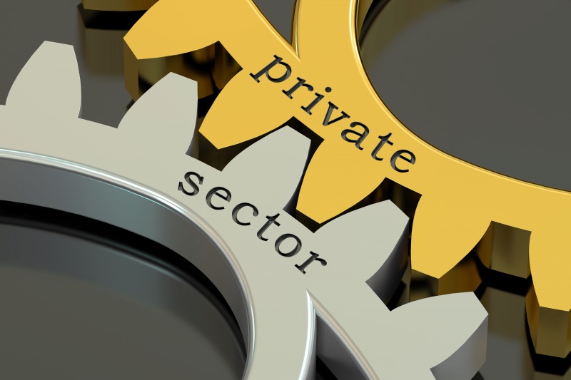 Private Sector Development